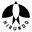 Hirundo logo