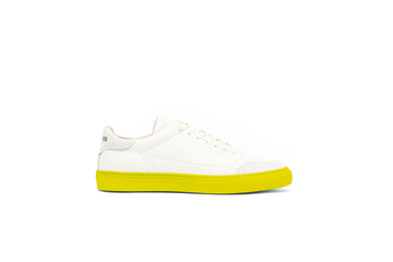 Mix and Match Brinjal and Lemon